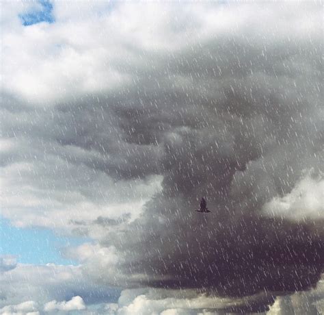 meteo oggi tolentino.